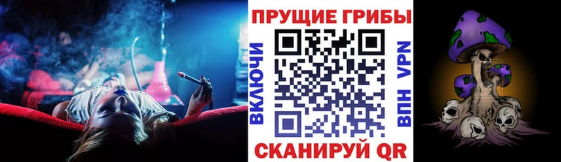 Купить где  Лесозаводск  Псилоцибиновые грибы Psilocybe 